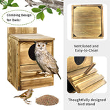 Owl Nesting Box Bird Feeder Paulownia Wood Acrylic - 45-Degree Angle