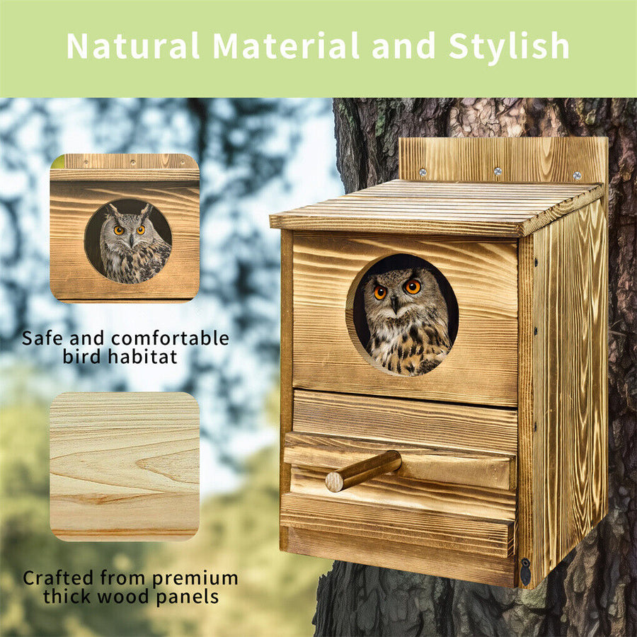 Owl Nesting Box Bird Feeder Paulownia Wood Acrylic