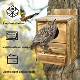 Owl Nesting Box Bird Feeder Paulownia Wood Acrylic - Close-Up Angle