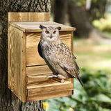 Owl Nesting Box Bird Feeder Paulownia Wood Acrylic - Extra Image