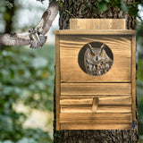 Owl Nesting Box Bird Feeder Paulownia Wood Acrylic - Extra Image