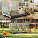 Stainless Steel Chicken Coop XL House/Coop - Rear View