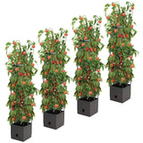 Tomato Tower With 3 Tier Frame 4 x Pack - Front View