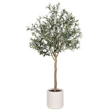 Artificial Olive Tree 2M - Top-Down View