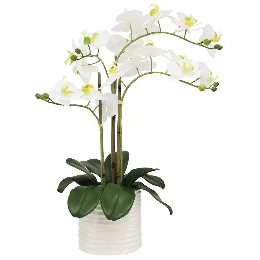 Artificial Orchid With Ribbed Pot 67cm