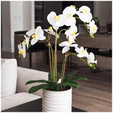 Artificial Orchid With Ribbed Pot 67cm - Front View