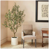 Artificial Olive Tree In French Crock Pot 2M - Side View