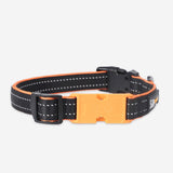 Pawfit 3 Collar Large - Front View
