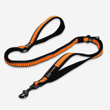 Pawfit Leash - Front View