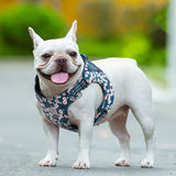Floral Doggy Harness Saxony Blue 2XS - Top-Down View