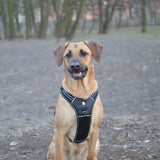 Reflective Heavy Duty Harness Black M - Front View