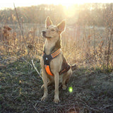 Reflective Heavy Duty Harness Orange XL - Side View