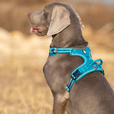 No Pull Harness Blue M - Top-Down View