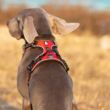 No Pull Harness Red XL - Top-Down View