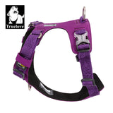 Lightweight Harness Purple M - Side View