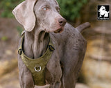 Lightweight Harness Army Green XS - Top-Down View