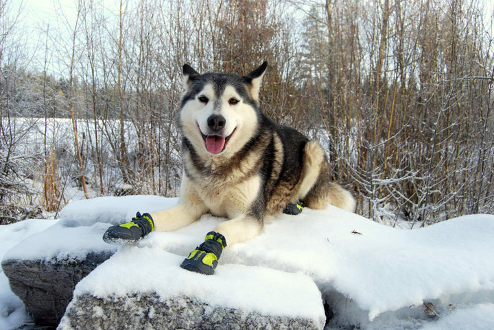 Weatherproof Dog Booties in Black - Size 3
