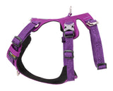 Whinhyepet Harness Purple 2XS - Top-Down View