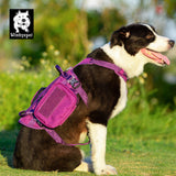 Whinhyepet Military Harness Purple M - Side View