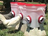 Cheeky Chooka DIY Poultry Feeder Port 4pk - Front View