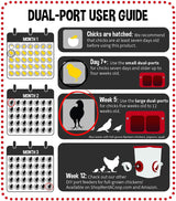 Cheeky Chooka Dual Chick Feeder Port Kit - Side View