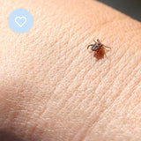 Mitey Tick Off For You Electronic Tick Repeller - Front View