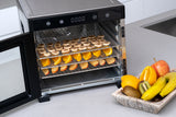 Stainless Steel Food Dehydrator with Large Capacity 6 Trays - Rear View