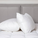 100 Percent Cotton Pillow Cover with 800g Poly Fill,  Hypoallergenic, Antibacterial, and Cooling Technology  2 PK - Rear View