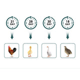 Digital Led Fully Automatic 25 Egg Incubator Hatch Turning Chicken Eggs Poultry - Extra Image