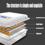 36 Egg Incubator Fully Automatic Digital Thermostat Chicken Eggs Poultry - Front View