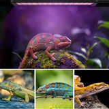 30cm Adjustable Reptile 5.0UVA UVB Lamps LED Light for Reptile Tanks Pet Lighting System - Top-Down View