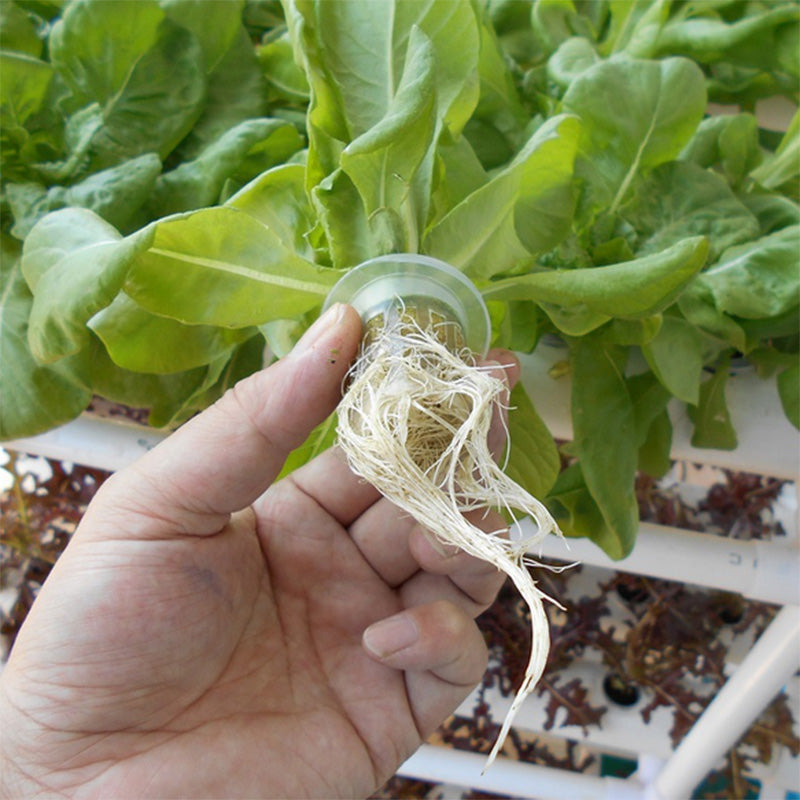 108 Plant Sites Hydroponic Grow Tool Kit Vegetable Garden Hydroponic Grow System, image 8