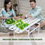 36 Sites Hydroponic Grow Tool Kits Vegetable Garden System 220V Water Pump - Front View