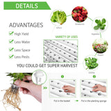 36 Sites Hydroponic Grow Tool Kits Vegetable Garden System 220V Water Pump - Top-Down View