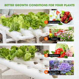 36 Sites Hydroponic Grow Tool Kits Vegetable Garden System 220V Water Pump - 45-Degree Angle