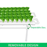 36 Sites Hydroponic Grow Tool Kits Vegetable Garden System 220V Water Pump - Extra Image