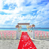10M Red Carpet Aisle Runner Awards Night Casino Wedding Party Event Mats Decor - 45-Degree Angle