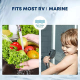 12v Replace SHURflo 4009 Water Pump & Twist on Filter for Caravan Boat Marine AU - Extra Image