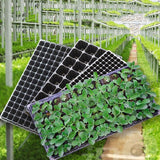 12x 72 Hole Plant Seed Grow Box Insert Propagation Nursery Seedling Starter Tray - Side View