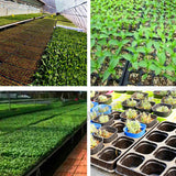 12x 72 Hole Plant Seed Grow Box Insert Propagation Nursery Seedling Starter Tray - 45-Degree Angle