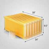 Neweast 7Pcs Flow Bee Comb Hive Frames For Wooden Beekeeping Beehive House - 45-Degree Angle