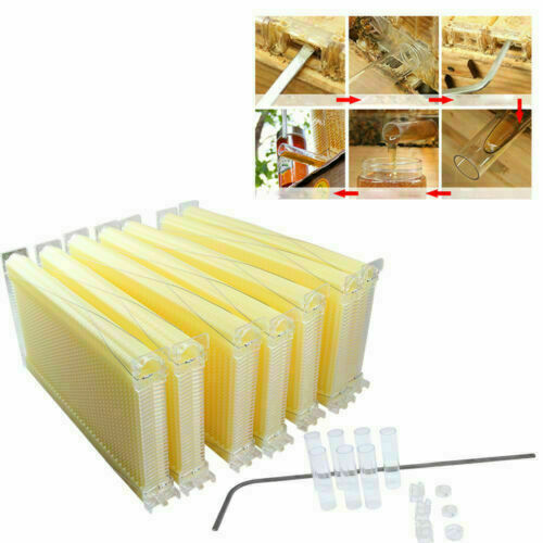 Neweast 7Pcs Flow Bee Comb Hive Frames For Wooden Beekeeping Beehive House