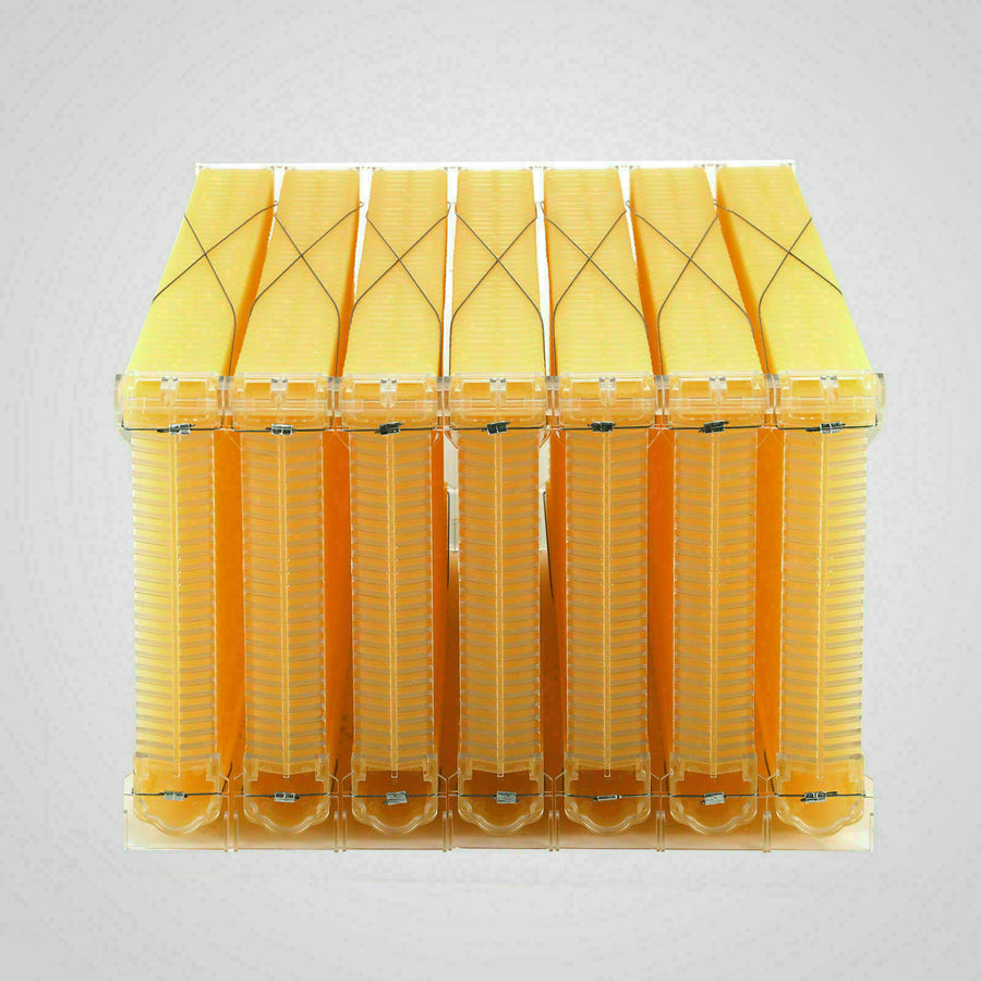 Neweast 7Pcs Flow Bee Comb Hive Frames For Wooden Beekeeping Beehive House