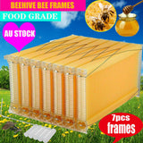Neweast 7Pcs Flow Bee Comb Hive Frames For Wooden Beekeeping Beehive House - Extra Image