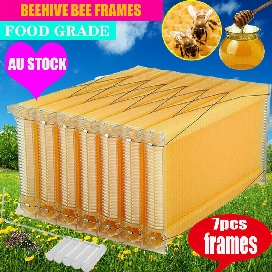 Neweast 7Pcs Flow Bee Comb Hive Frames For Wooden Beekeeping Beehive House