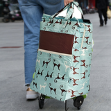 Shopping Trolley Cart Bag Foldable Wheels Carts Bags Market Luggage Basket sky blue cat