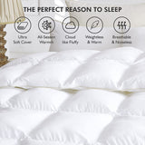 Goose Feather Down Quilt 500 GSM Duvet Doonas Queen:210x210cm - Top-Down View