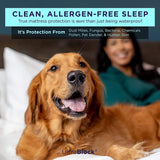 Fully Fitted Waterproof Cotton / Non Woven Mattress Protector Cover Double - Top-Down View