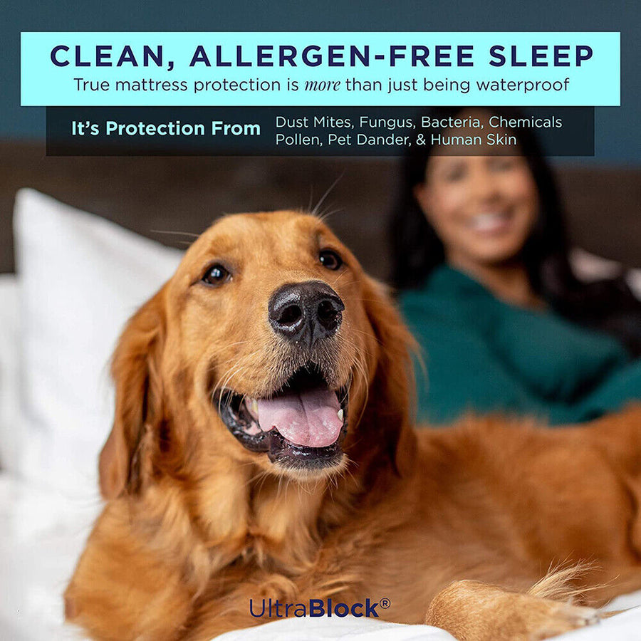 Fully Fitted Waterproof Cotton / Non Woven Mattress Protector Cover Double