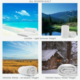 350 GSM Australian Merino Wool Quilt Duvet Doona Summer Winter Double 180cm x 210cm - Front View